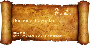 Hernesz Levente névjegykártya